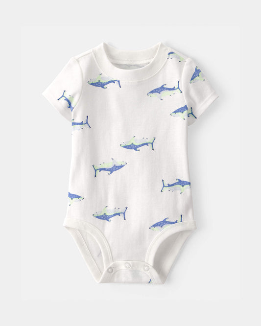 Conjunto 3 Piezas Corto Diseño Shark Striped