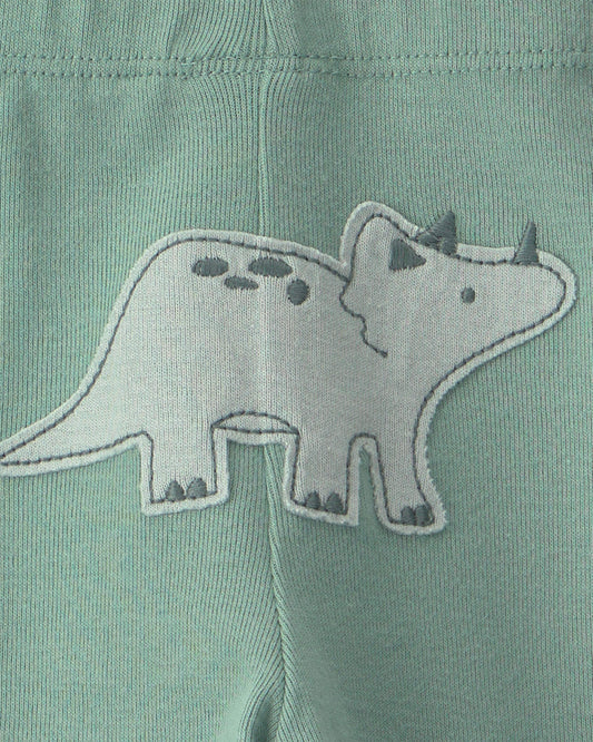 Conjunto 3 Piezas Diseño Saurus