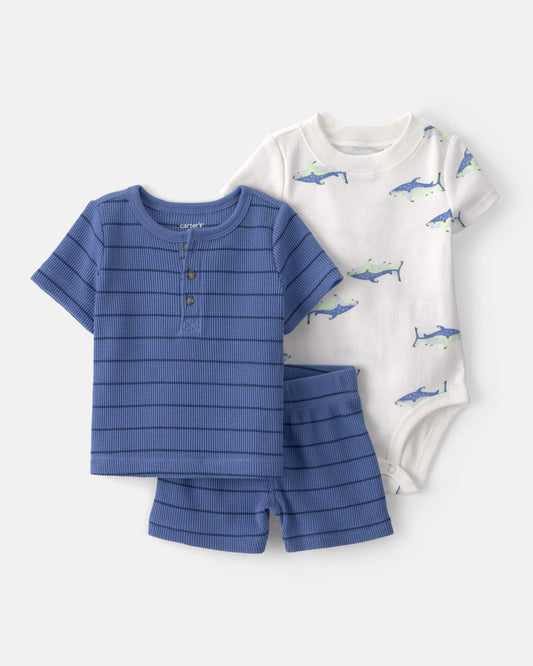 Conjunto 3 Piezas Corto Diseño Shark Striped
