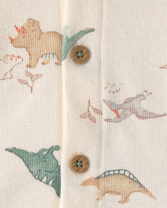 Conjunto 3 Piezas Diseño Dino