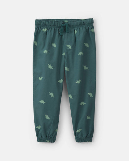 Conjunto 2 Piezas Diseño Dino