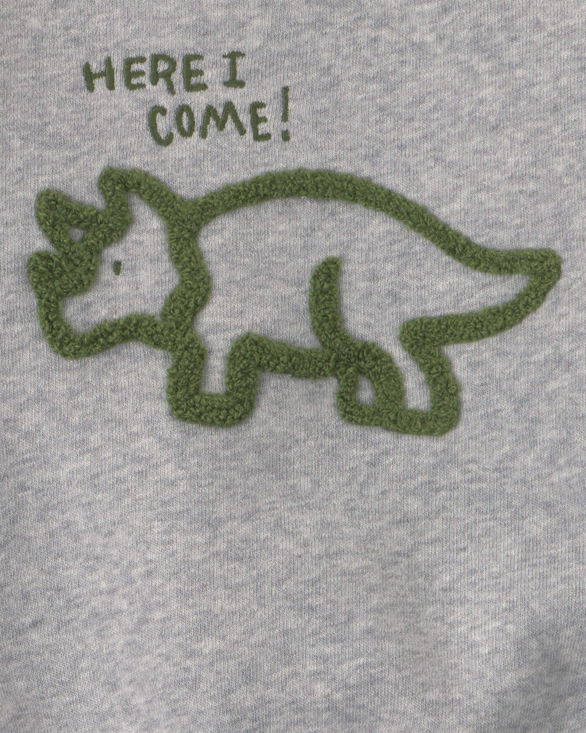 Conjunto 2 Piezas Diseño Dinosaur Fleece