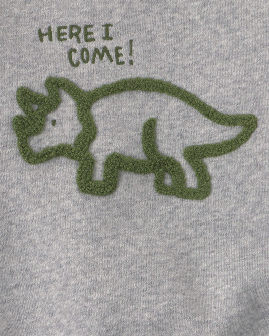 Conjunto 2 Piezas Diseño Dinosaur Fleece